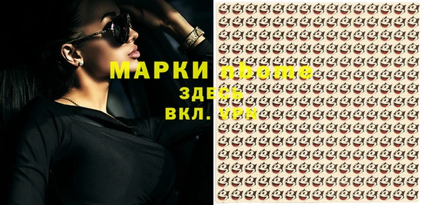 прущие грибы Верхнеуральск