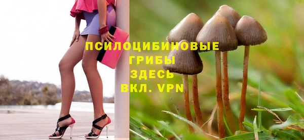 спиды Володарск