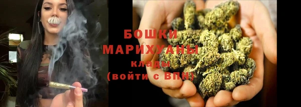 молекула духа Верхний Тагил