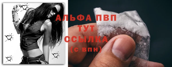 прущие грибы Верхнеуральск