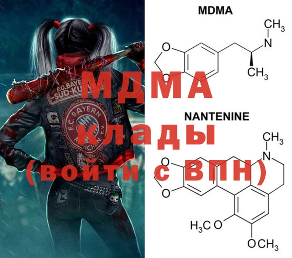 прущие грибы Гусев