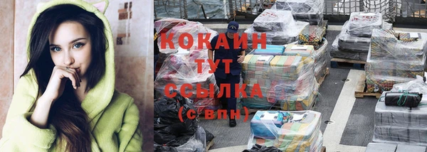 молекула духа Верхний Тагил